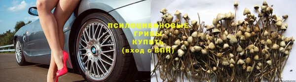 СК Медвежьегорск