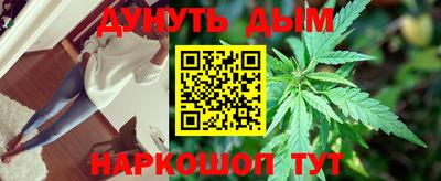 индика Гай