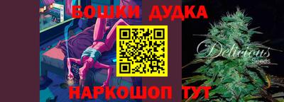 индика Гай