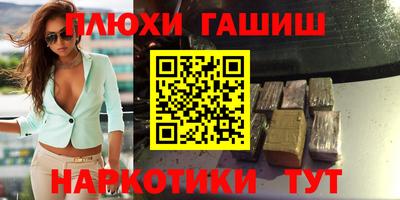 индика Гай