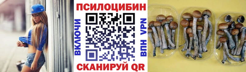 это состав  Михайловка  Галлюциногенные грибы ЛСД 