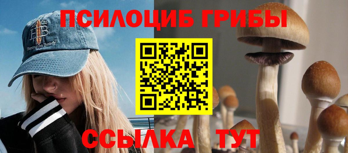 Галлюциногенные грибы Cubensis  Михайловка 