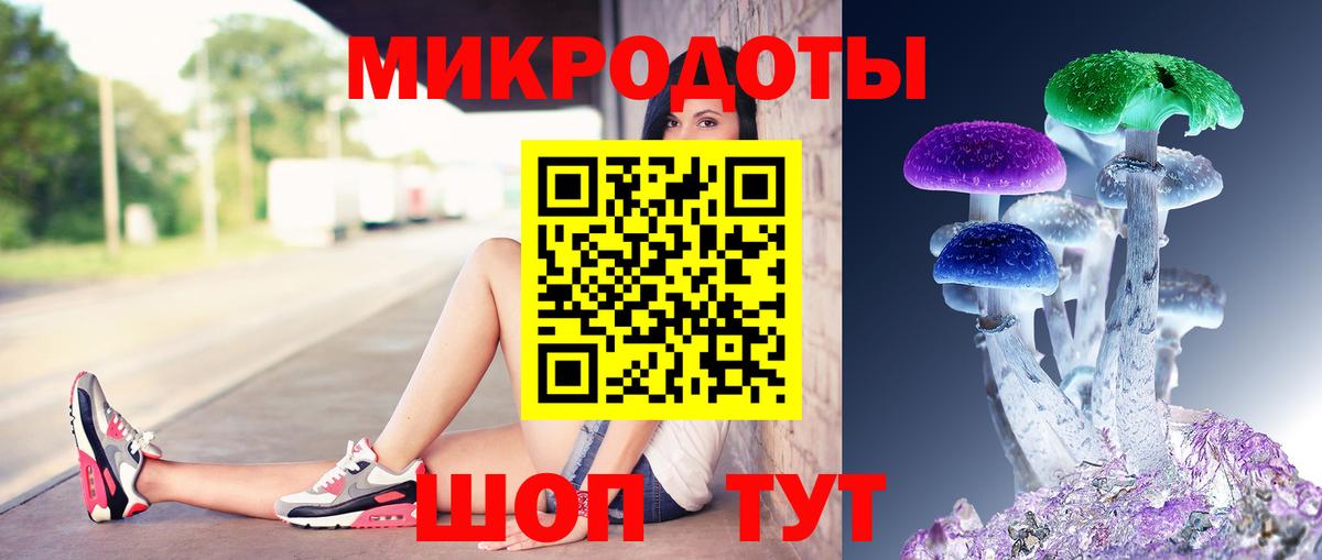 Галлюциногенные грибы Psilocybe  Вход с VPN  Михайловка 